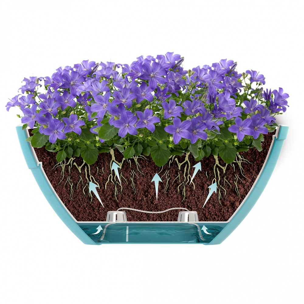 Вазон пластик Calipso овальний прозорий 2 л Santino (2013330)