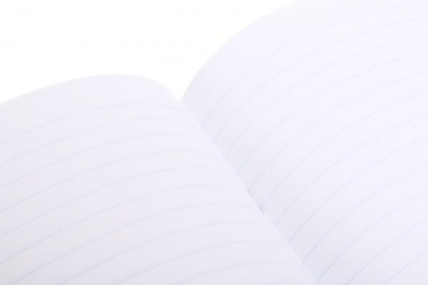 Тетрадь школьная 36 листов в линейку в ассортименте Мечты сбываются