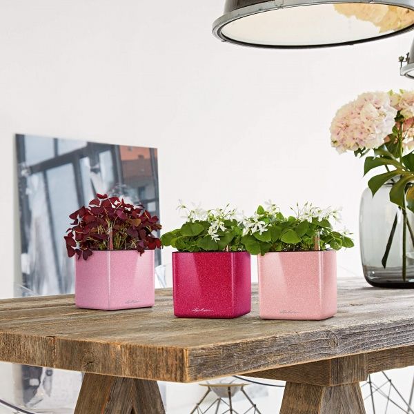 Вазон декоративний Lechuza Cube Glossy Kiss 14 квадратний 1л вишневий (13514) 