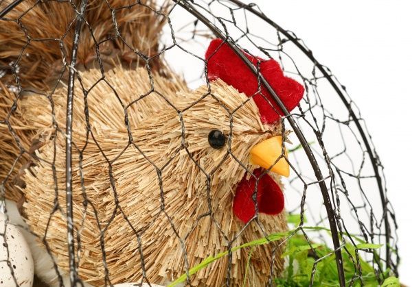 Декорация пасхальная Курица в корзине C739315B