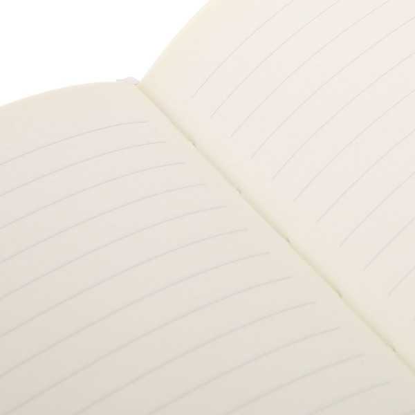 Книга для записей Геометрия 2 А5 96 листов