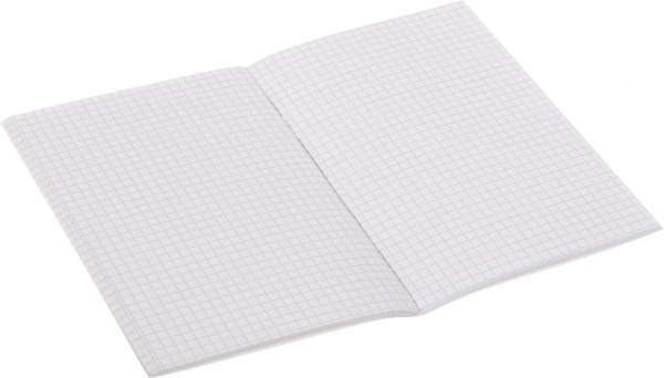 Комплект тетрадей Twin Book А6 по 40 листов в клеточку Школярик