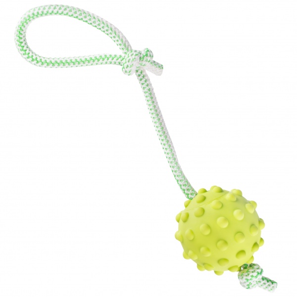 Іграшка для собак DGT-PETS М'ячик на мотузці PET3