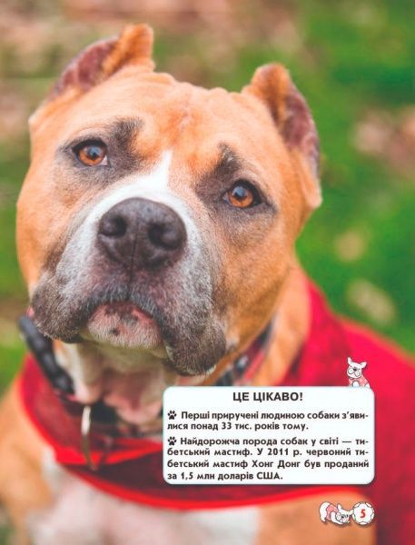 Книга Тамара Протасовицкая «Світ навколо нас. Собаки» 978-966-936-748-8