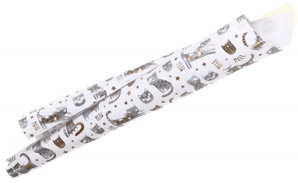 Бумага для упаковки Bourgeois 70x100 см 