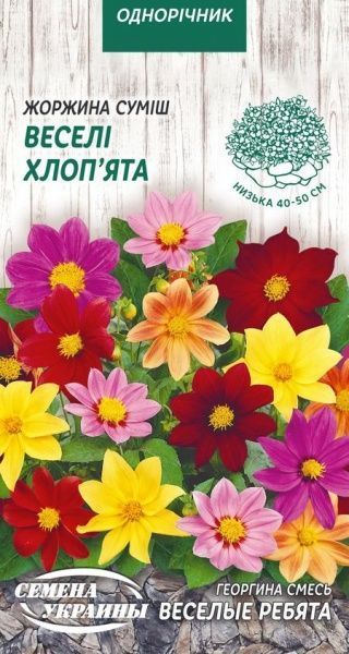 Насіння Семена Украины жоржина Веселі хлоп’ята (суміш) 779900 0,2 г