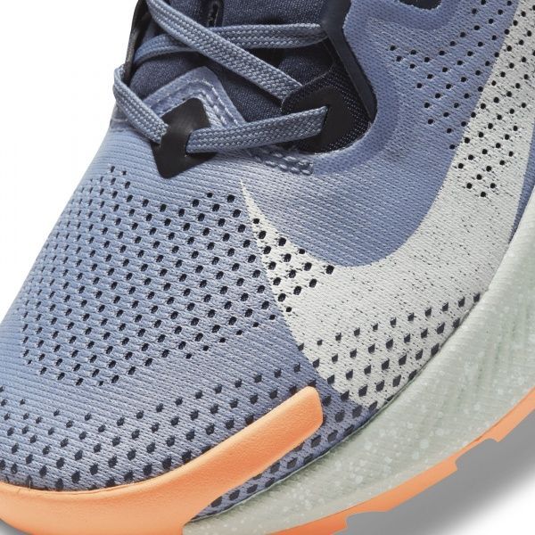 Кросівки Nike Nike Pegasus Trail 2 CK4309-401 р.US 6,5 блакитний