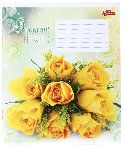 Зошит шкільний 24 аркуша у клітинку в асортименті Мрії збуваються