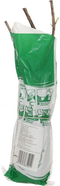 Саженец смородины белой Императорская желтая