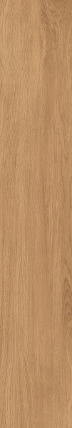 Плитка Allore Group Timber Gold F PR R Mat 19,8x120x8 