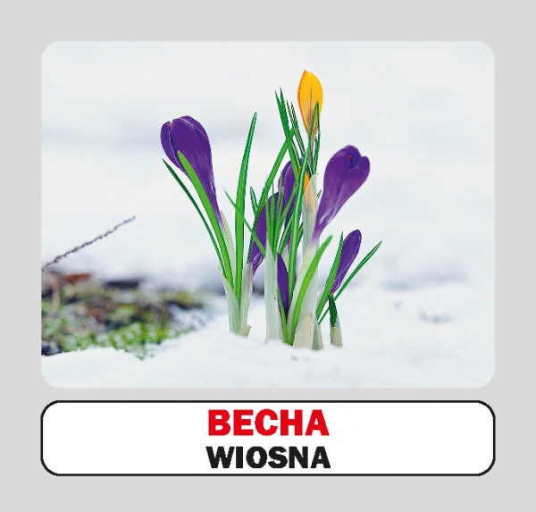 Книга «Пори року / Sezony. Набір карток» 9786177686070