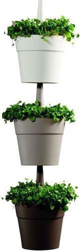 Набір горщиків пластикових Rainbow Planter 3 шт./уп. круглий 5,2л різнокольоровий 