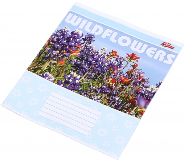 Тетрадь школьная 18 листов в клеточку в ассортименте Мечты сбываются