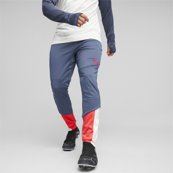 Брюки Puma INDIVIDUALCUP TRAINING PANTS 65848753 р. M серый