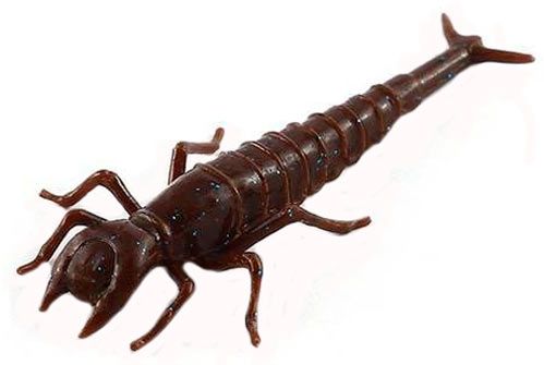 Приманка FishUp Diving Bug 50 мм 8 шт. #012 chaos