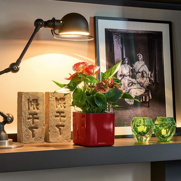 Вазон декоративный Lechuza Cube Glossy 14 квадратный 1л красный (13512) 