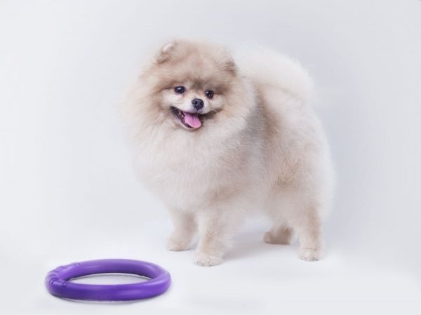 Снаряд тренувальний Puller Micro для собак 13 см