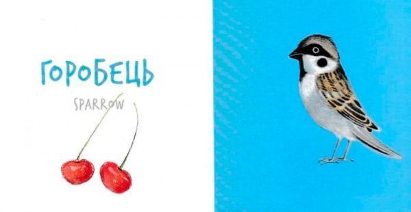 Книга «Книга. Птах» 9786177395262