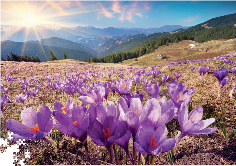 Пазл DGT Карпатські крокуси 1000 елементів TRFL_UA/4
