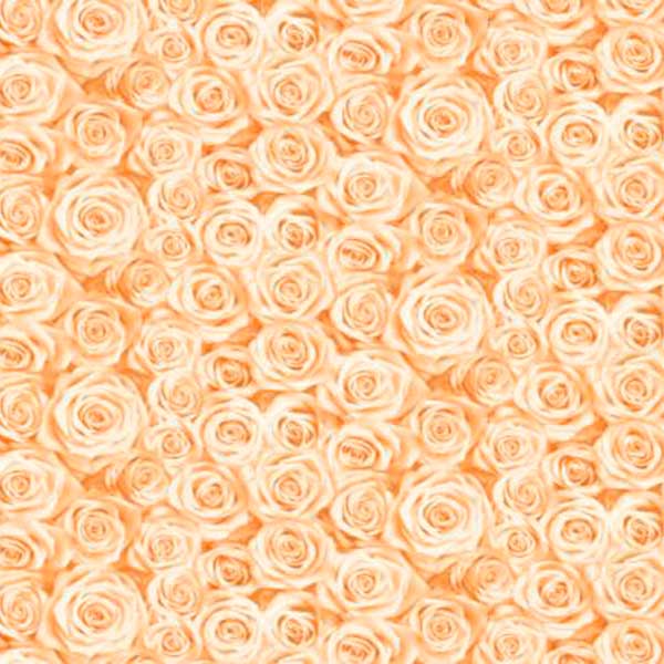 Шпалери вінілові на флізеліновій основі Слов'янські шпалери ELEGANCE Троянда V305-05 1,06x10,05 м 