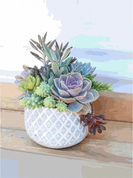 Полотно на картоні з контуром Натюрморт 30x40 см Rosa Start