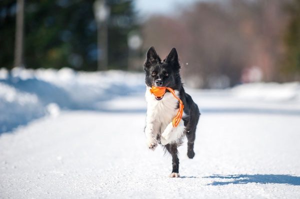 Мячик Liker Лайн 7 см