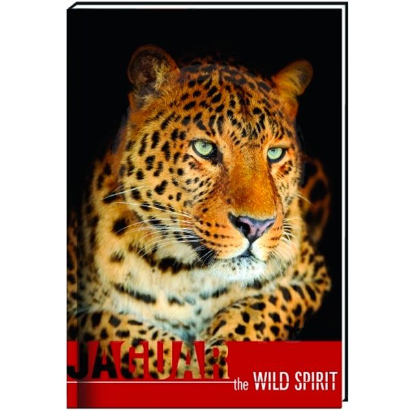 Тетрадь клетка Cool For School Wild Spirit А6 80 листов