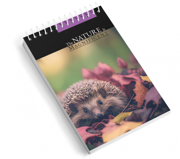 Блокнот Ежик 1В2880 Аркуш