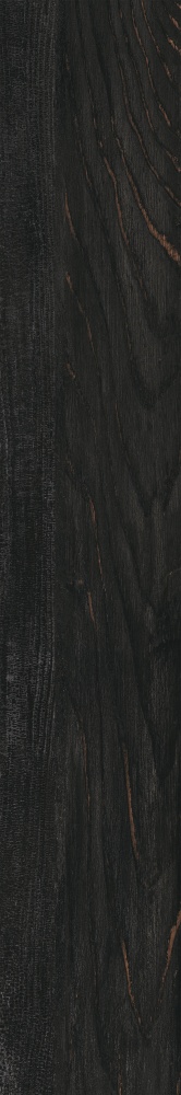 Плитка Allore Group Albero Black F PR R Mat 19,8x120 см