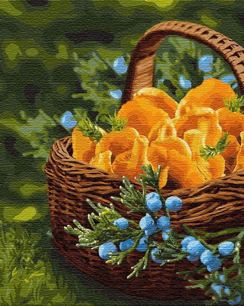 Картина за номерами Сонце у кошику Ідейка 