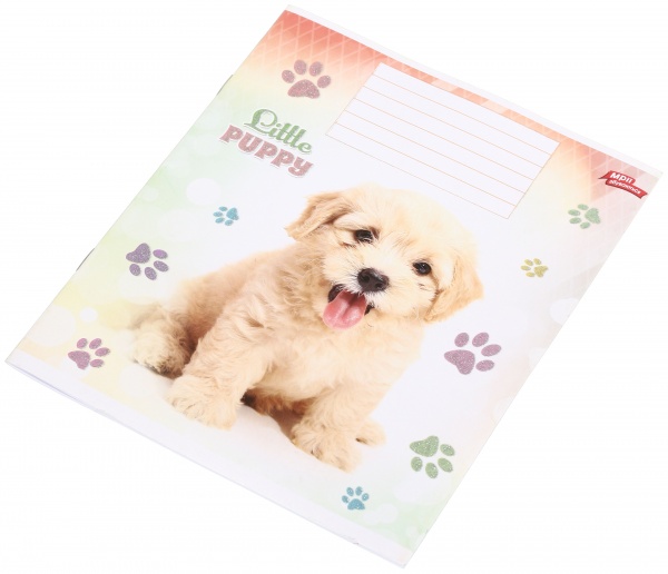 Тетрадь школьная с глитером 18 листов в линейку в ассортименте Мечты сбываются