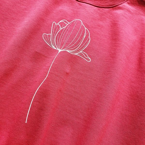 Світшот для дівчинки Colibri р.116 кораловий G4005 