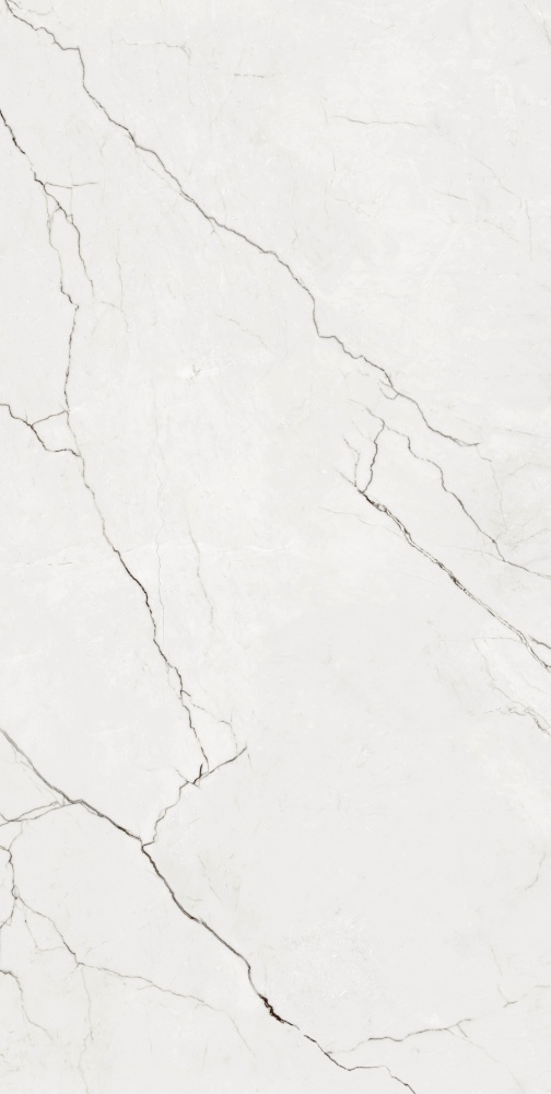 Плитка Eleganza White F P R Full Lappato 60x120 см (2 сорт)