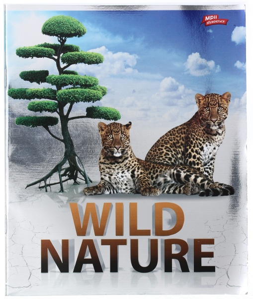 Тетрадь школьная серебро 4 листов в клеточку в ассортименте Мечты сбываются