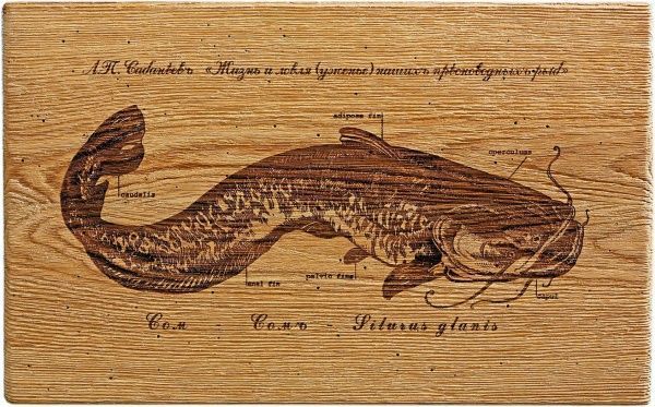 Картина Fish-Point тріптіх 