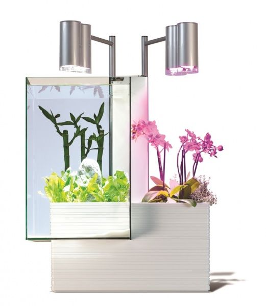 Акваріумна система Brio-35 біла 75х49х38