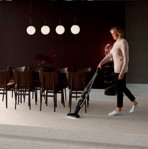 Пылесос Electrolux PQ91-50MB 