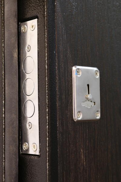 Дверь входная металлические Y1S001C053+P044C271 черный 2050х860 мм левая