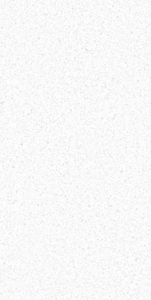 Плитка Allore Group Caspia White F P Satin 60x120 см