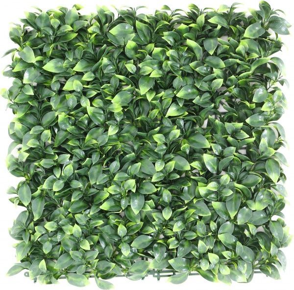 Декоративне зелене покриття Engard Самшит молодий 50x50 см GCK-05