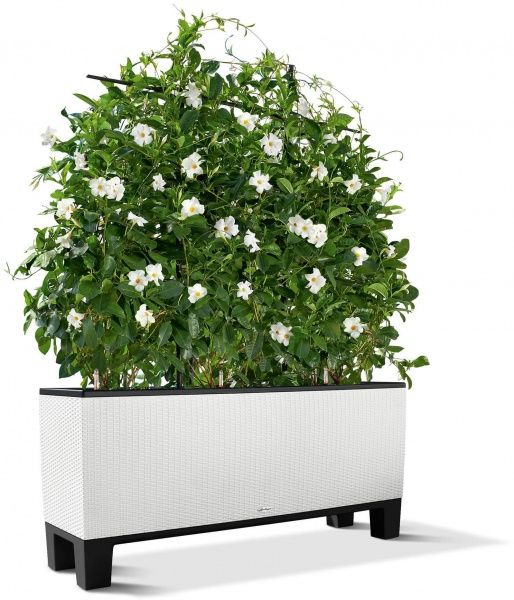 Аксессуар Lechuza Подставка под Trio Cottage 30 прямоугольный (15012) графит 