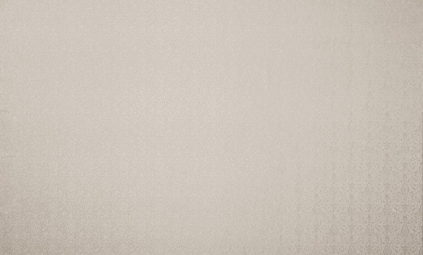 Шпалери вінілові на флізеліновій основі Bravo SIMPLE SP503-03 1,06x10,05 м 