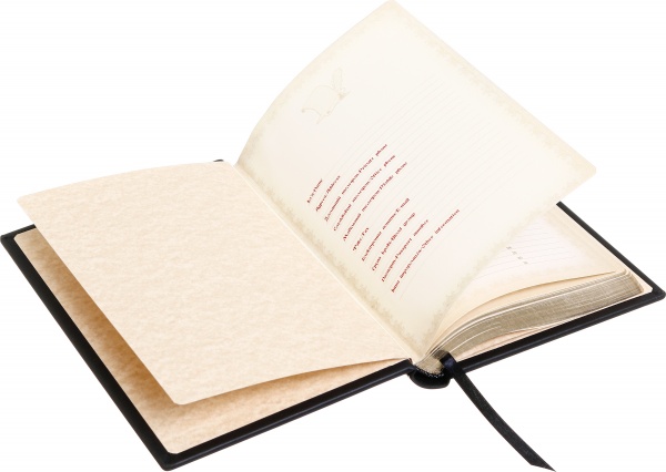 Щоденник недатований з тризубом у калиновому вінку Купола A5 304001069