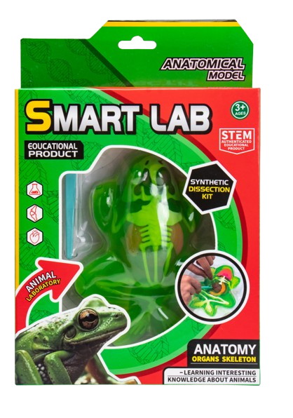 Набор исследователя Maya Toys Анатомия животных Лягушка 801B