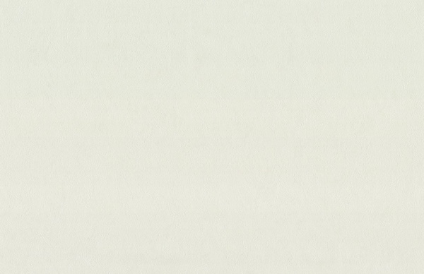 Обои виниловые на флизелиновой основе Vinil Персия стена VIP 1-1543 1,06x10,05 м 