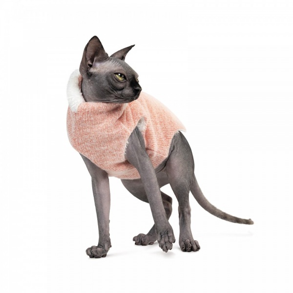 Свитер Pet Fashion CAT персик M PR242968