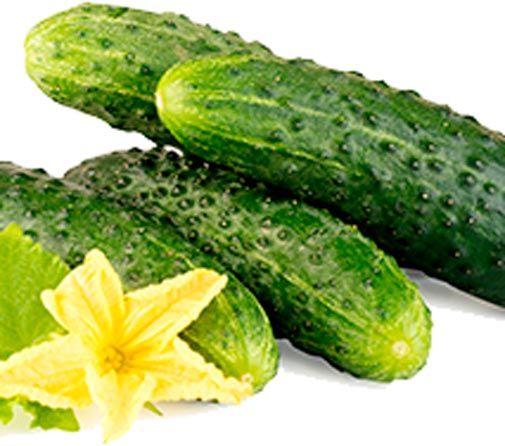 Семена Садовий Світ огурец Кустовой 1г