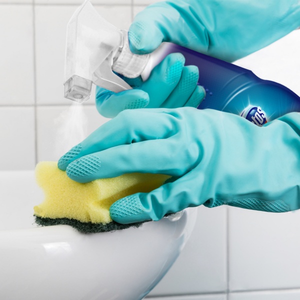 Универсальное средство Domestos Chlorine Cleaner 0,45 л