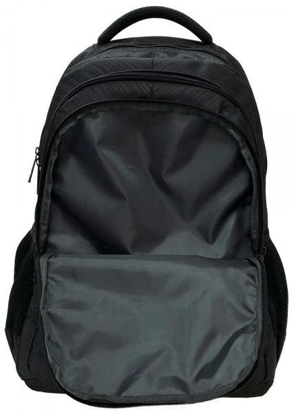 Ранец школьный Safari 2 отделения 21-193L