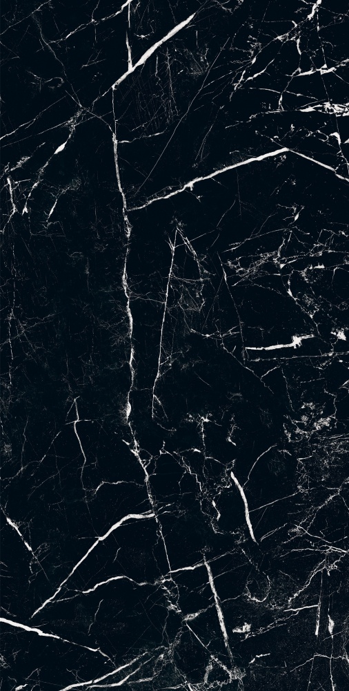 Плитка Allore Group Marquina Black F P R Mat 60х120 см